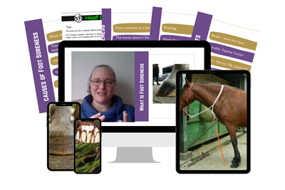 Fixing Foot Soreness Icon