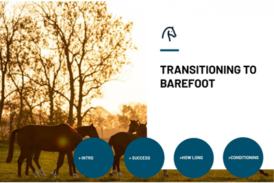 Transitioning To Barefoot Icon