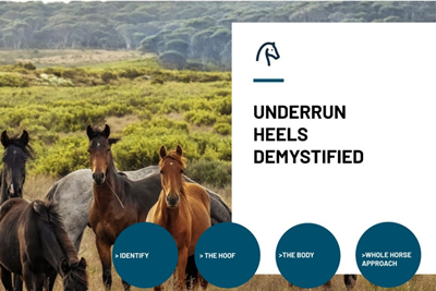 Underrun Heels Demystified Icon