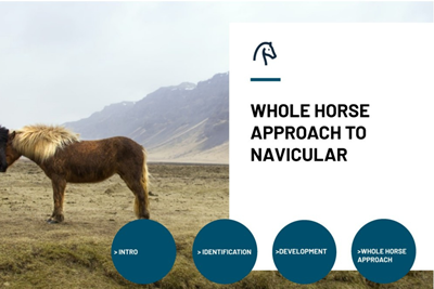 Whole Horse Approach to Navicular Icon