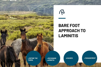 Barefoot Approach to Laminitis Icon