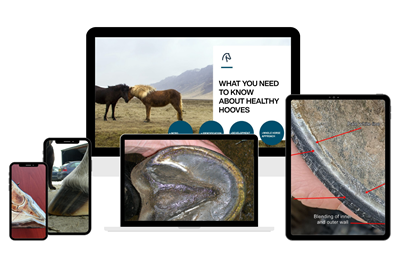 About Hoof Health Icon